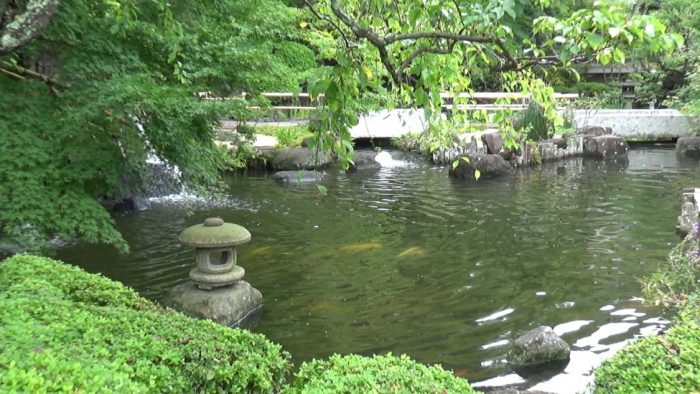 鎌倉長谷寺 鯉が泳ぐ池